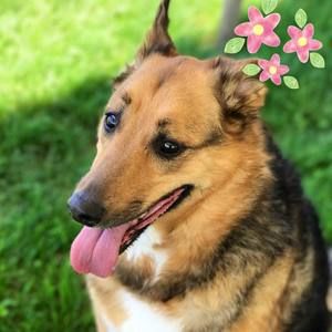 Meet your Posher, Mandy